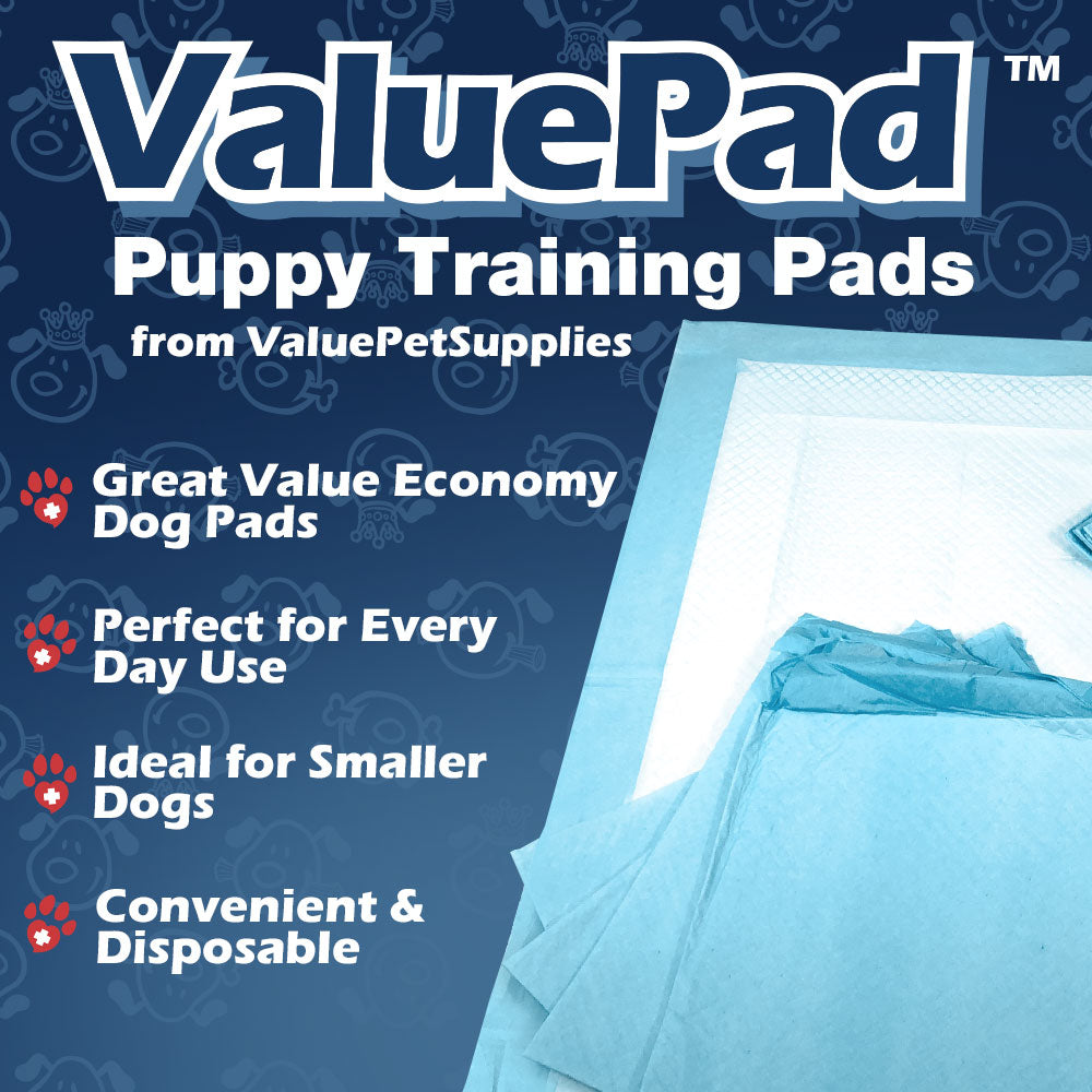 ValuePad Puppy Pads, Large 28x30 Inch, 300 Count BULK PACK - Economy Training Pads for Dogs, Leak Proof 5-Layer Design 